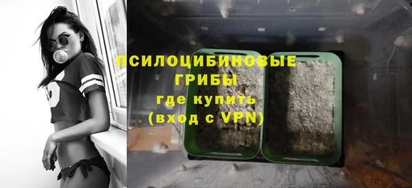 стаф Армянск