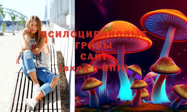 стаф Армянск