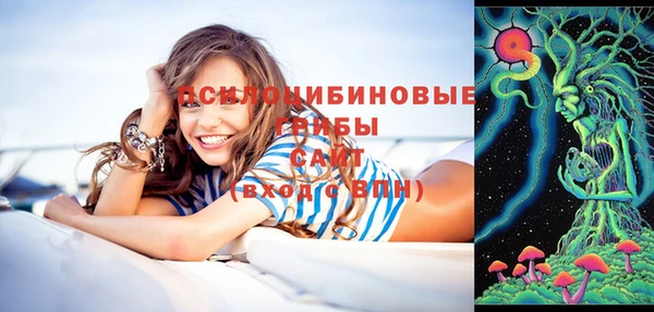 стаф Армянск