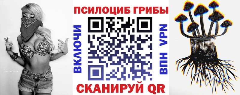 Псилоцибиновые грибы мицелий  Тара 